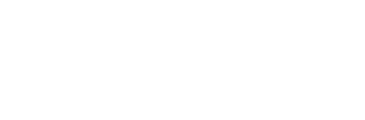 TrueSkies Aviation Group